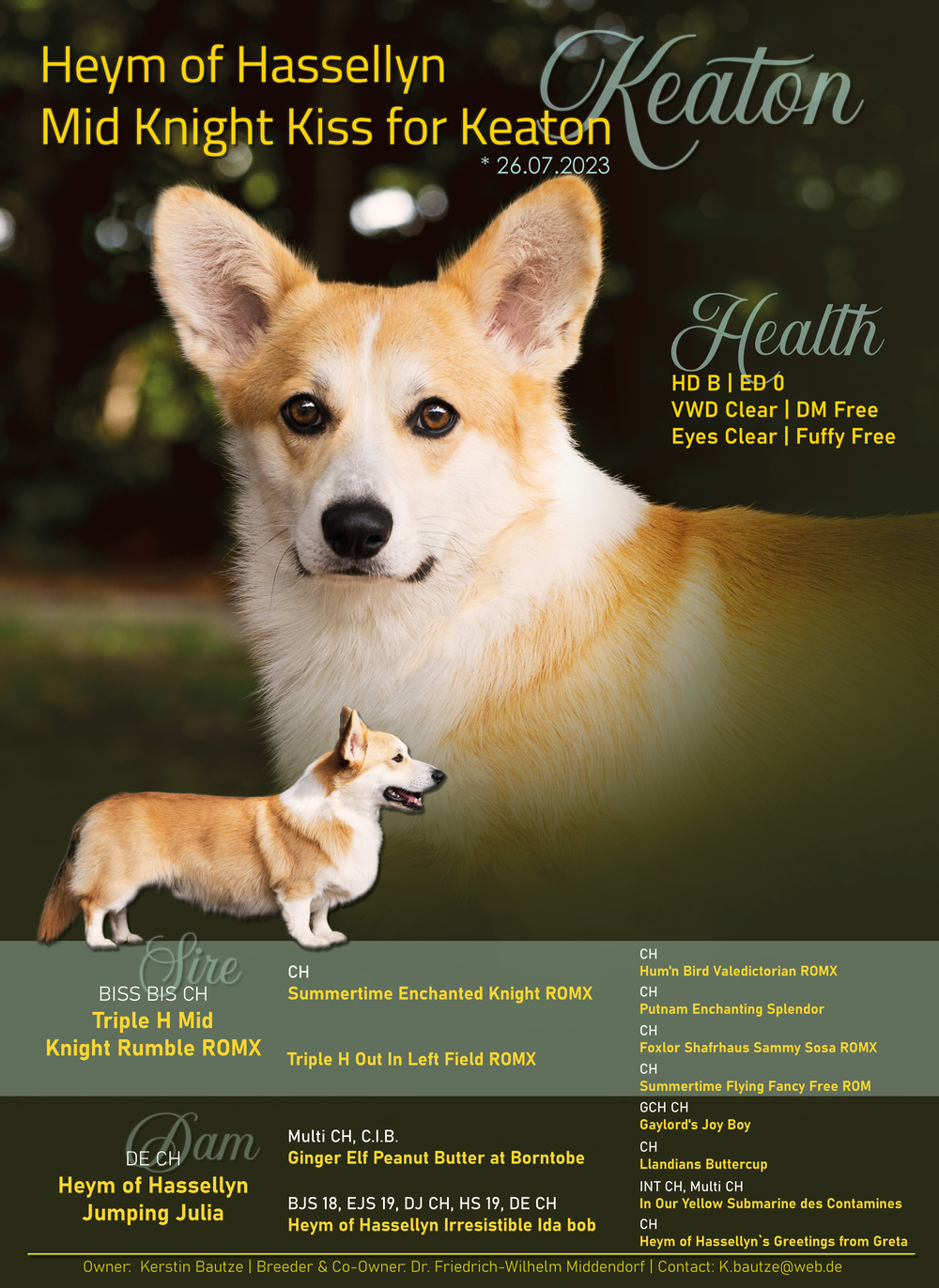 Image of Heym Of Hassellyn Mid Knight Kiss For Keaton